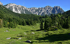 anteprima-tour-nel-cuore-del-veneto-natura-paesaggi.jpg